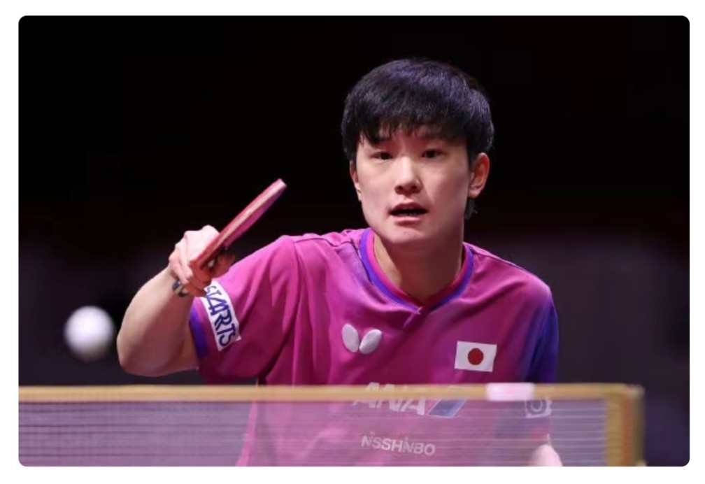 九游游戏-德国乒乓球队完胜波兰乒乓球队，张本智和爆发神勇的简单介绍